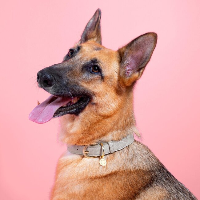 Katie Loxton Halsband - Grijs