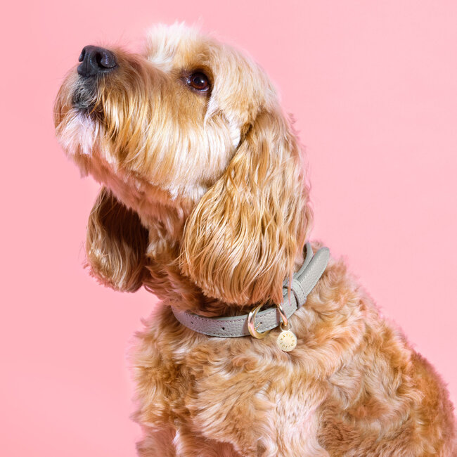 Katie Loxton Halsband - Grijs