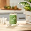 Yankee Candle Vanilla Lime - Signature Large Jar