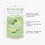 Yankee Candle Vanilla Lime - Signature Large Jar