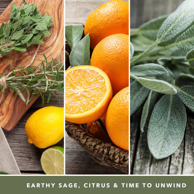 Yankee Candle Sage & Citrus - Signature Medium Jar