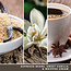 Yankee Candle Vanilla Bean Espresso - Signature Large Jar