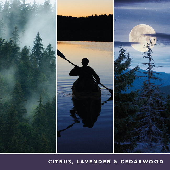 Yankee Candle Midsummer's Night - Signature Large Jar