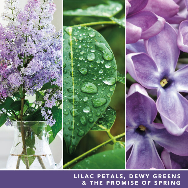 Yankee Candle Lilac Blossoms - Filled Votive