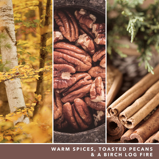 Yankee Candle Praline & Birch - Wax Melt