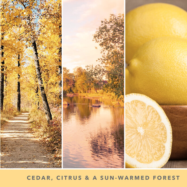 Yankee Candle Autumn Sunset -  Signature Large Tumbler