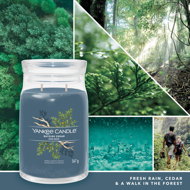 Yankee Candle Bayside Cedar - Signature Large Jar