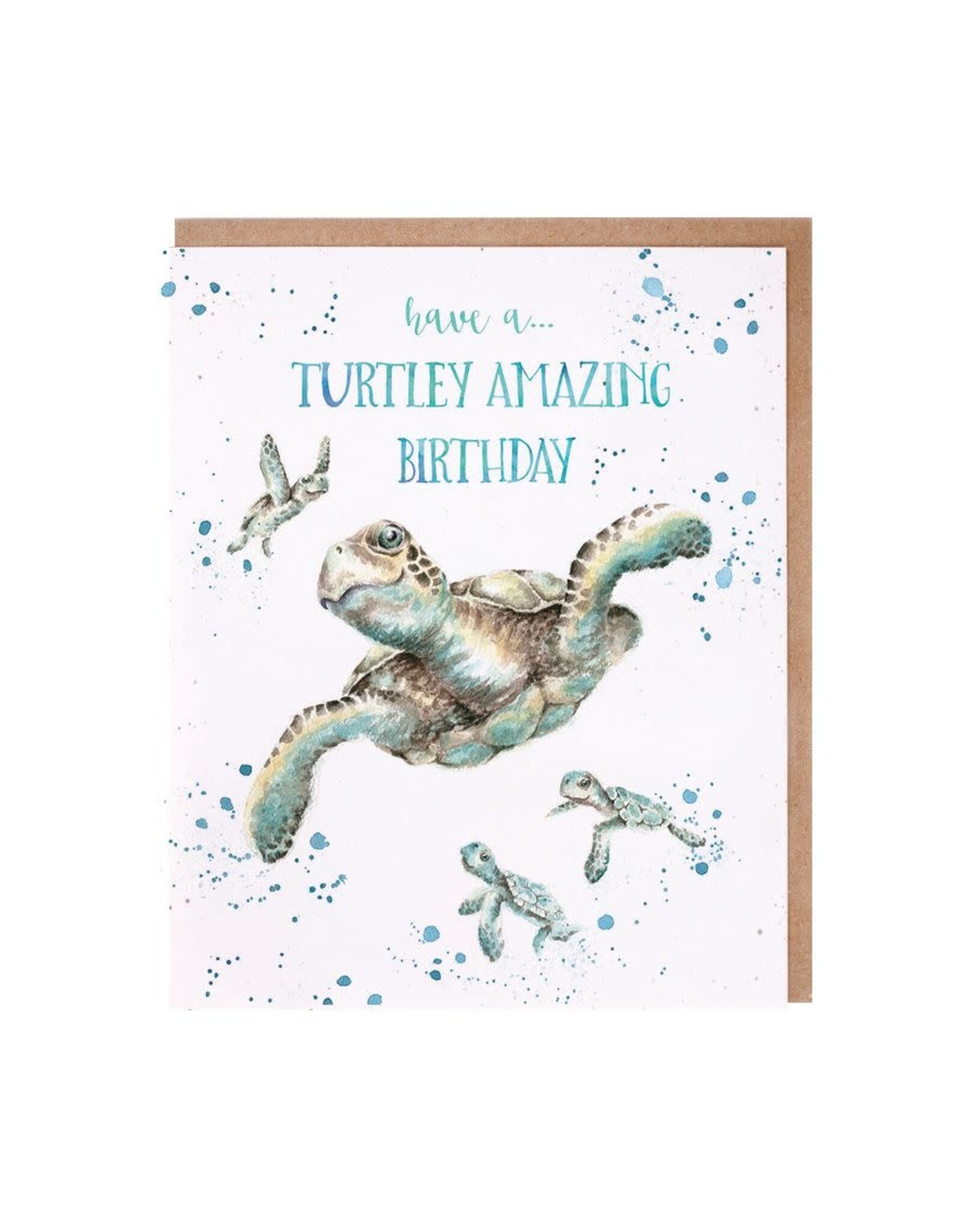 Wrendale Wenskaart - Have a Turtley amazing Birthday