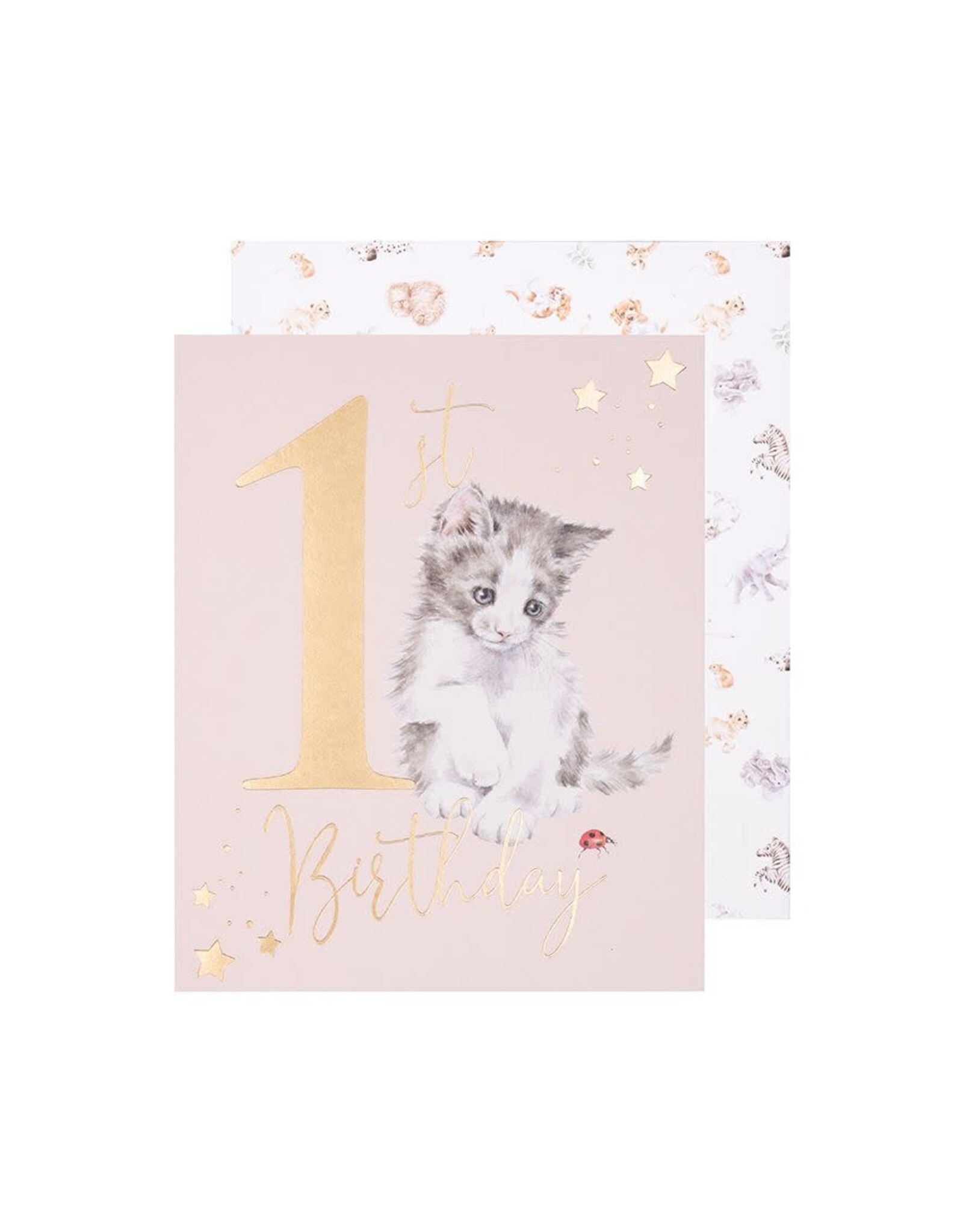 Wrendale Wenskaart -  A Purrfect Day - 1st Birthday (Girl)