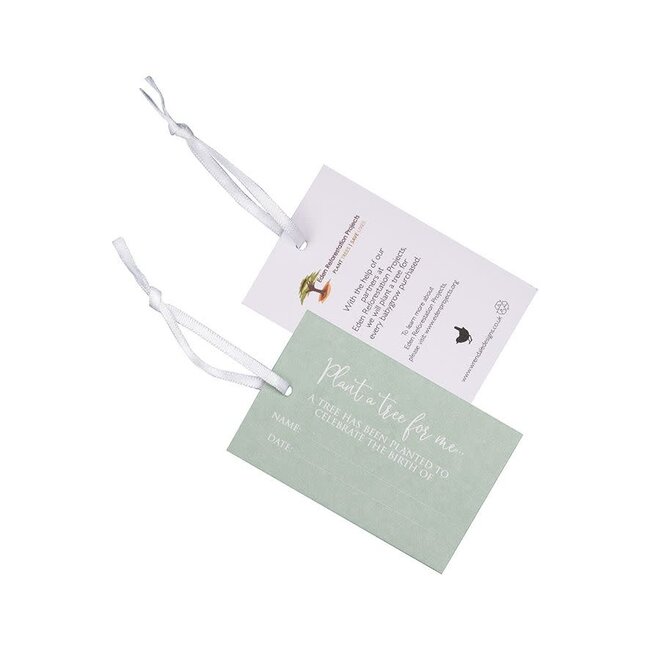 Wrendale Kruippakje - Little Paws