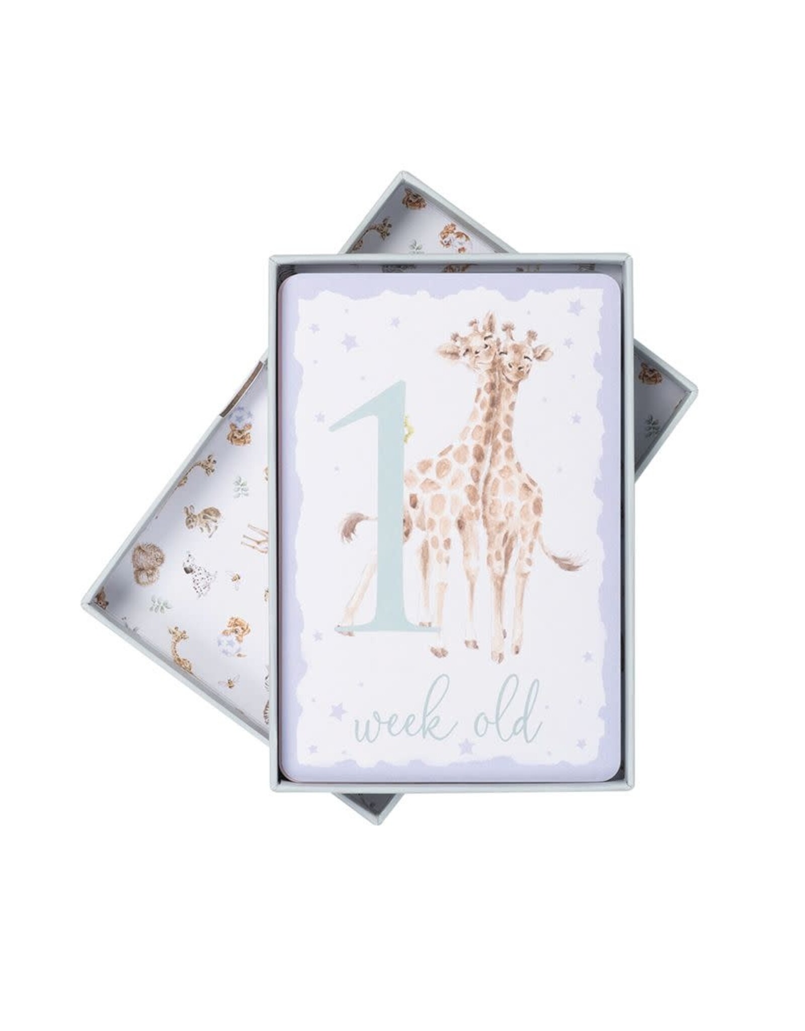 Wrendale Baby Animal - Milestone Cards