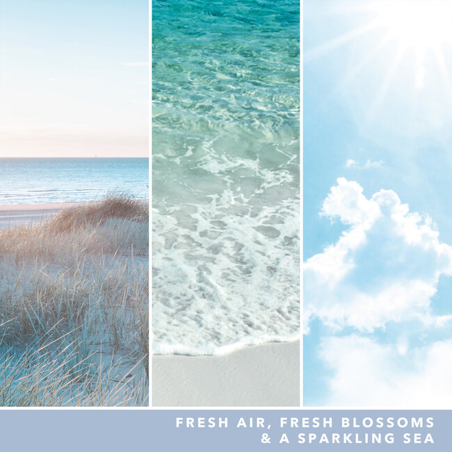 Yankee Candle Ocean Air -  Signature Small Tumbler