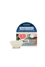 Yankee Candle White Spruce & Grapefruit - Wax Melt