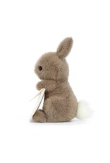 Jellycat Knuffel - Messenger Bunny