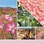 Yankee Candle Desert Blooms - Signature Large Jar