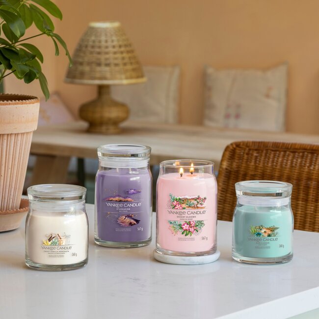 Yankee Candle Aloe & Agave - Signature Medium Jar