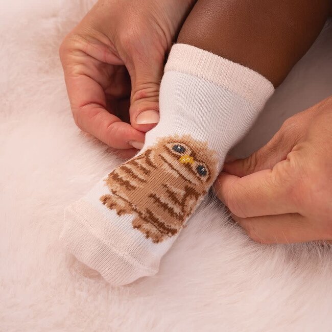 Wrendale Little Forest - Baby Socks Set