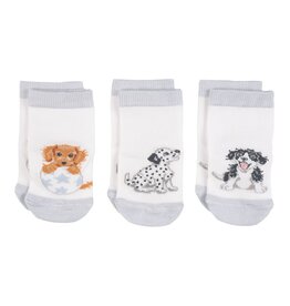 Wrendale Little Paws - Baby Socks Set