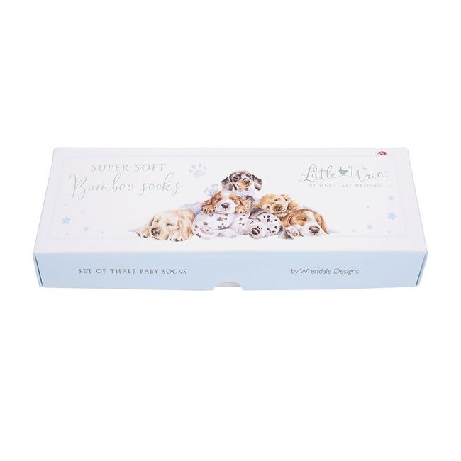 Wrendale Little Paws - Baby Socks Set