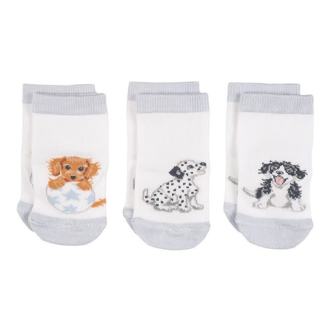 Wrendale Little Paws - Baby Socks Set