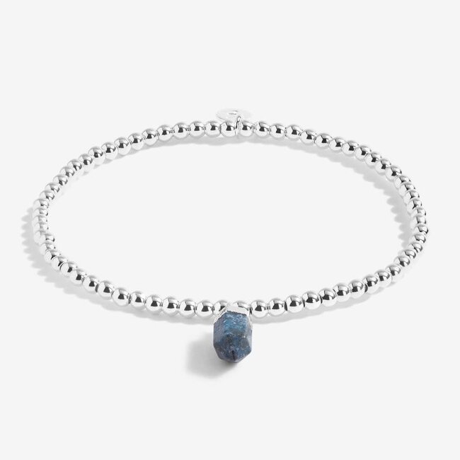 Joma Jewellery A Little Crystal - Lapis Lazuli