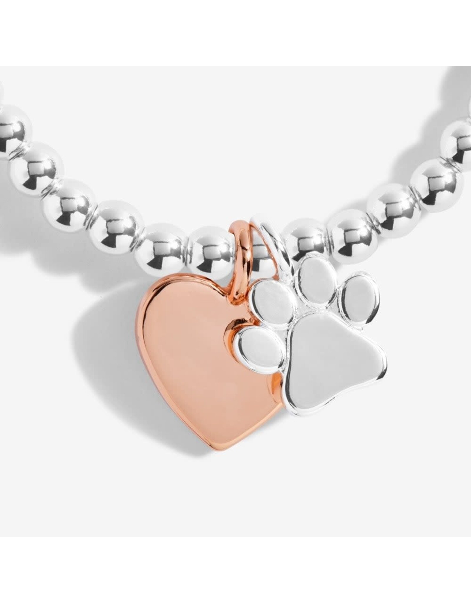 Joma Jewellery A Little - Puppy Love