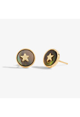 Joma Jewellery Perla - Abalone Star Oorbellen