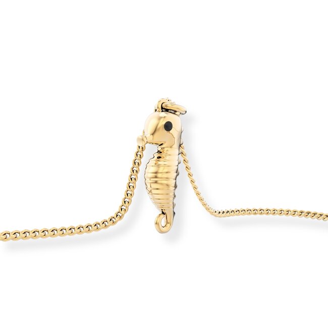 Chocli Ketting  - Sea Horse
