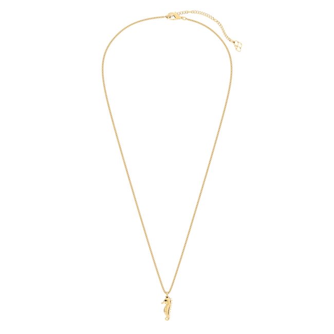 Chocli Ketting  - Sea Horse