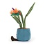 Jellycat Knuffel - Amuseable - Bird of Paradise