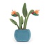 Jellycat Knuffel - Amuseable - Bird of Paradise