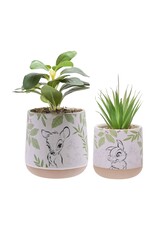 Disney Home Bambi - Set 2 Plantjes