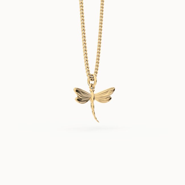 Chocli Ketting  - Dragon Fly