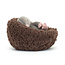 Jellycat Knuffel - Hibernating Mole