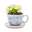 Disney Home Alice in Wonderland - Theekopje met Plant