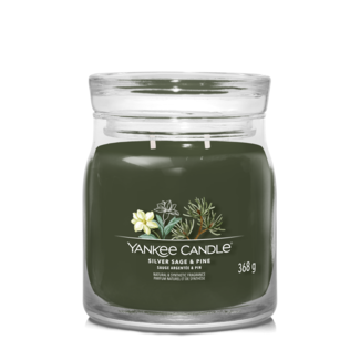 Yankee Candle Silver Sage & Pine  - Signature Medium Jar