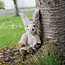 Wrendale Knuffel Klein - Jack Donkey