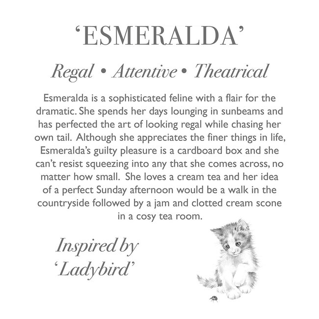 Wrendale Knuffel Klein - Esmeralda de Cat