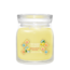 Yankee Candle Frozen Lemon Gelato - Signature Medium Jar