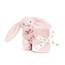 Jellycat Bashful Pink Bunny - Soother