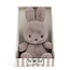 Bon Ton Toys Knuffel Nijntje - Giftbox Cozy Taupe