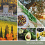 Yankee Candle Olive & Cypress Garden - Signature Medium Jar