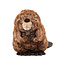Wrendale Knuffel Klein - Chester Beaver