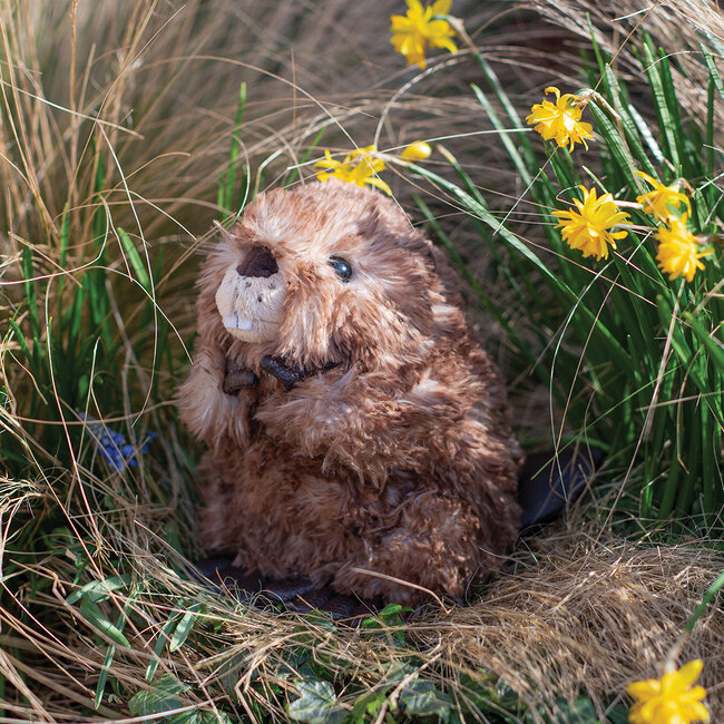 Wrendale Knuffel Klein - Chester Beaver
