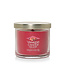 Yankee Candle Santa on Skis - Small Tumbler