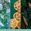Yankee Candle Holiday Winterfest - Filled Votive