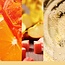 Yankee Candle Slopeside Spritz  - Signature Medium Jar