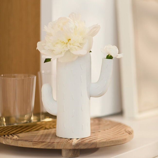 Räder Vaas - Columnar Cactus