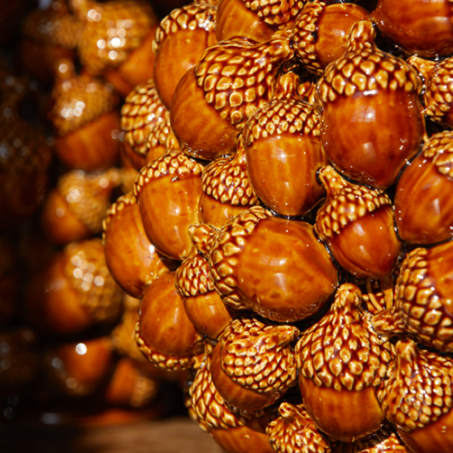 Enzo de Gasperi Vaas - Acorns