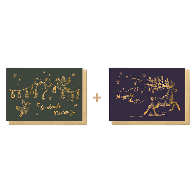 Enfant Terrible Set 10 Wenskaarten - Stralende Feesten